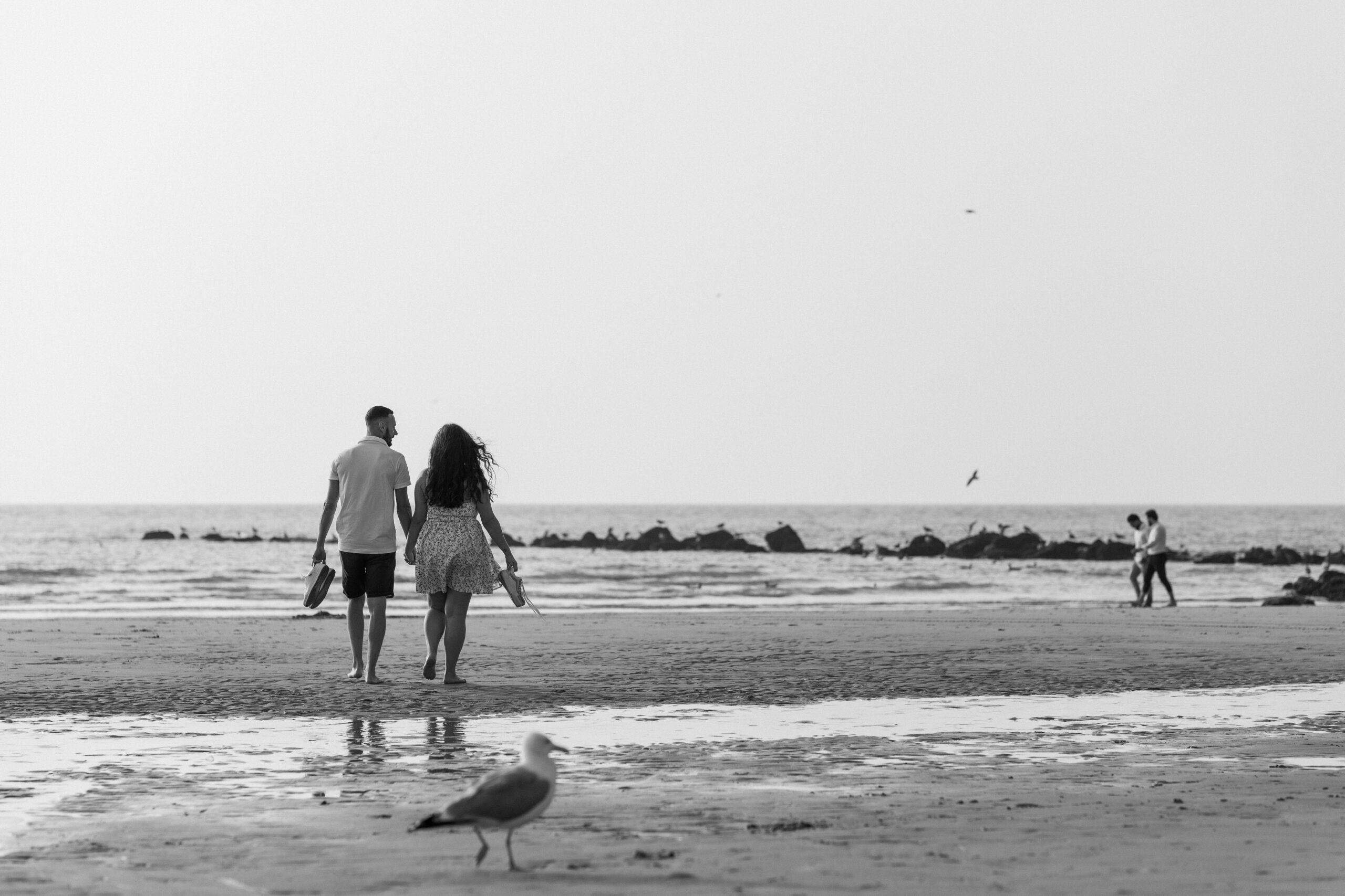 Photographie en noir et blanc d'un couple de futurs mariés marchant sur le sable de la plage d'Ostende vers la mer avec une mouette flou en premier plan lors d'une séance photo de couple